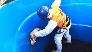 Limpeza de caixa d'água e cisterna - Rotobel